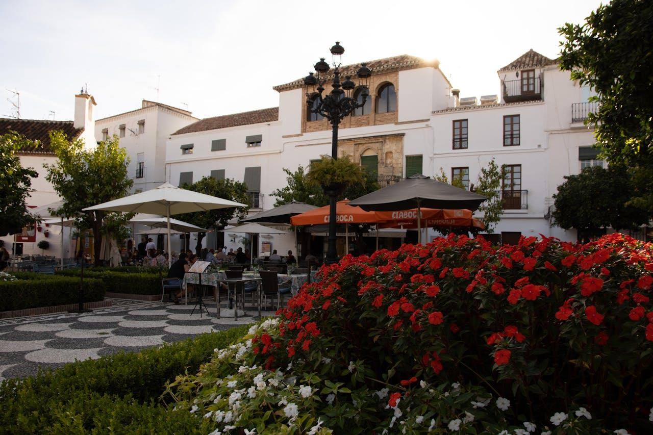 Pet-friendly rental positioning in Alhaurín de la Torre: a small premium with outsized booking impact